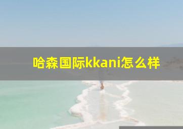 哈森国际kkani怎么样