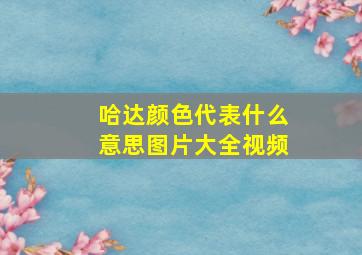 哈达颜色代表什么意思图片大全视频