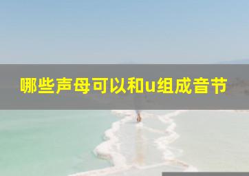 哪些声母可以和u组成音节