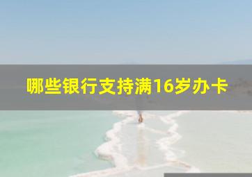 哪些银行支持满16岁办卡