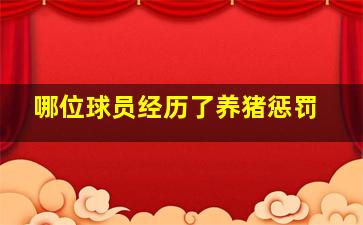 哪位球员经历了养猪惩罚