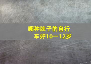 哪种牌子的自行车好10一12岁