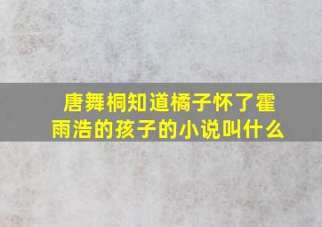 唐舞桐知道橘子怀了霍雨浩的孩子的小说叫什么