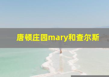 唐顿庄园mary和查尔斯