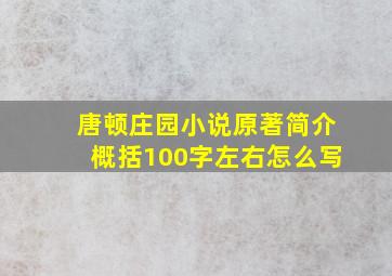 唐顿庄园小说原著简介概括100字左右怎么写