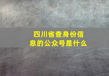 四川省查身份信息的公众号是什么