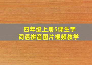 四年级上册5课生字词语拼音图片视频教学