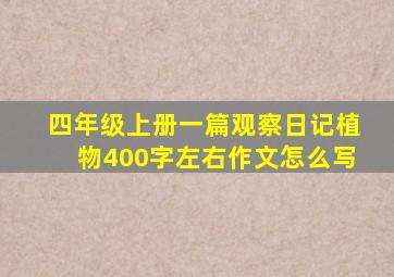 四年级上册一篇观察日记植物400字左右作文怎么写