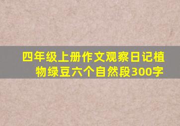 四年级上册作文观察日记植物绿豆六个自然段300字