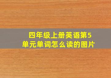 四年级上册英语第5单元单词怎么读的图片