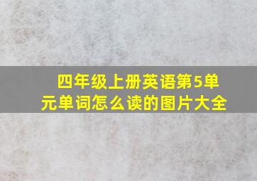 四年级上册英语第5单元单词怎么读的图片大全