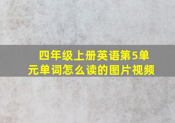 四年级上册英语第5单元单词怎么读的图片视频