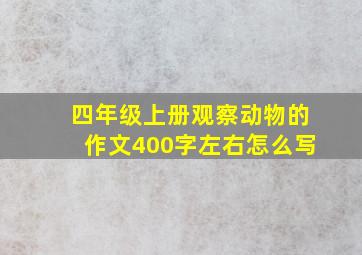 四年级上册观察动物的作文400字左右怎么写