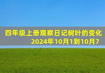 四年级上册观察日记树叶的变化2024年10月1到10月7