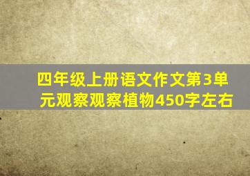 四年级上册语文作文第3单元观察观察植物450字左右