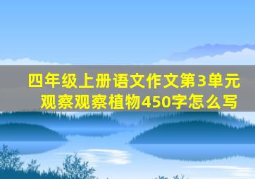 四年级上册语文作文第3单元观察观察植物450字怎么写