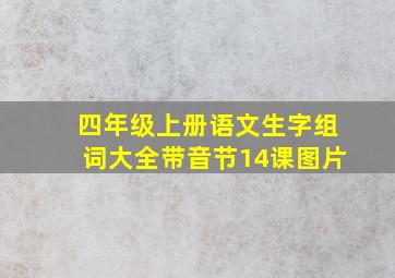 四年级上册语文生字组词大全带音节14课图片