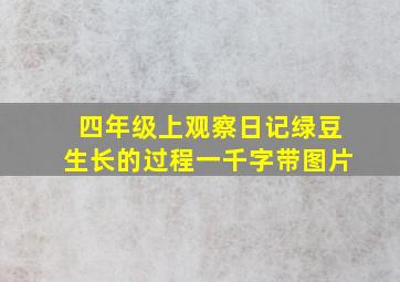 四年级上观察日记绿豆生长的过程一千字带图片