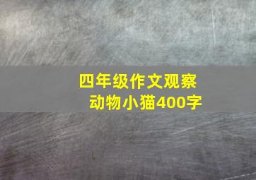 四年级作文观察动物小猫400字