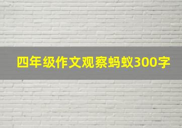 四年级作文观察蚂蚁300字