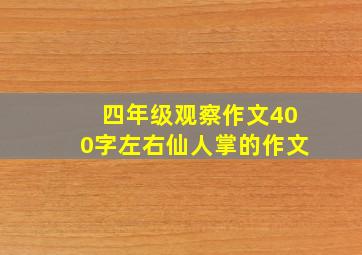 四年级观察作文400字左右仙人掌的作文