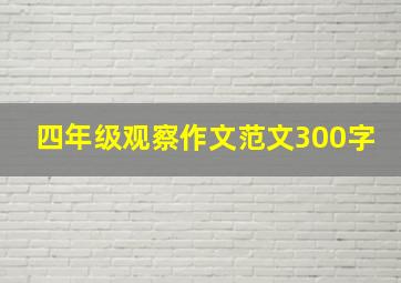 四年级观察作文范文300字