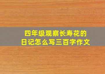 四年级观察长寿花的日记怎么写三百字作文