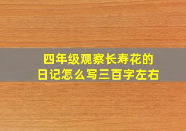 四年级观察长寿花的日记怎么写三百字左右