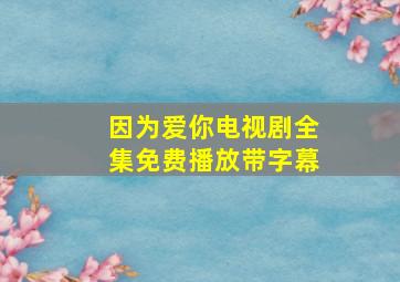 因为爱你电视剧全集免费播放带字幕