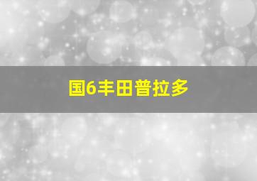 国6丰田普拉多