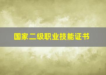 国家二级职业技能证书