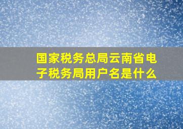 国家税务总局云南省电子税务局用户名是什么