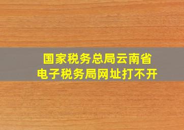 国家税务总局云南省电子税务局网址打不开