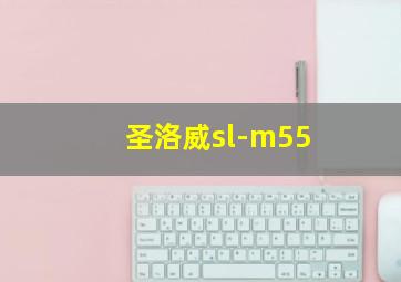 圣洛威sl-m55