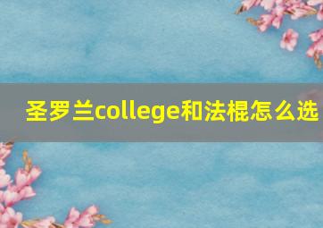 圣罗兰college和法棍怎么选