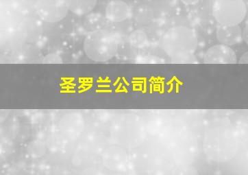 圣罗兰公司简介