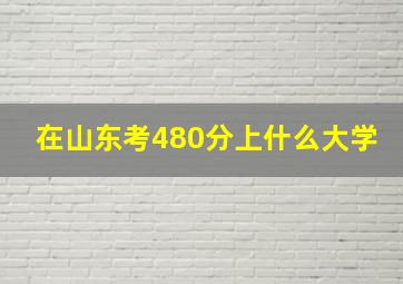 在山东考480分上什么大学