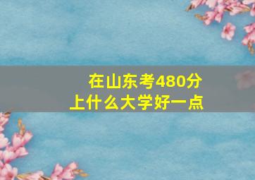 在山东考480分上什么大学好一点