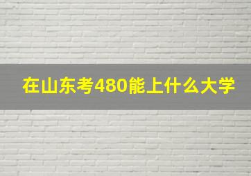 在山东考480能上什么大学