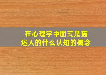 在心理学中图式是描述人的什么认知的概念