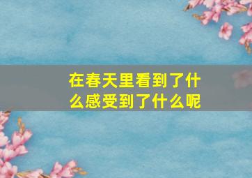 在春天里看到了什么感受到了什么呢