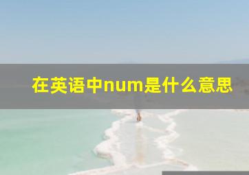 在英语中num是什么意思