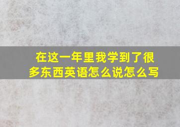 在这一年里我学到了很多东西英语怎么说怎么写