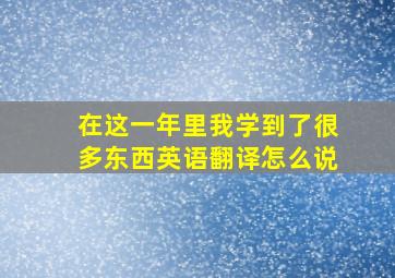 在这一年里我学到了很多东西英语翻译怎么说