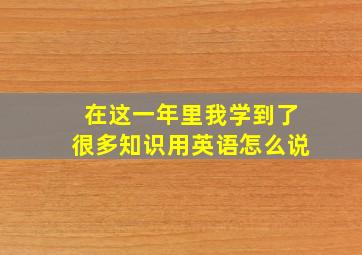 在这一年里我学到了很多知识用英语怎么说