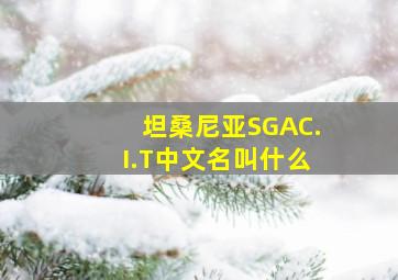 坦桑尼亚SGAC.I.T中文名叫什么