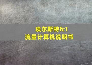 埃尔斯特fc1流量计算机说明书