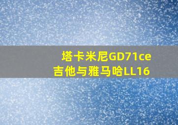 塔卡米尼GD71ce吉他与雅马哈LL16