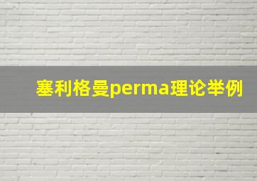 塞利格曼perma理论举例