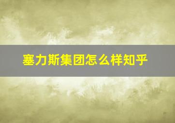 塞力斯集团怎么样知乎